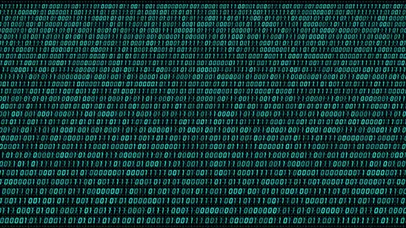 Big Data Information Flow Binary Program Code