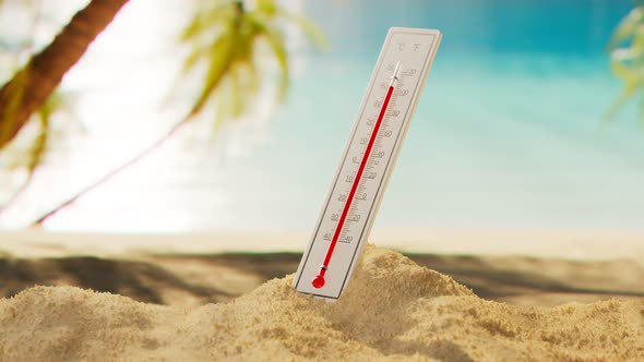 The thermometer at the beach in the shade of the palm trees. Tropical climate.