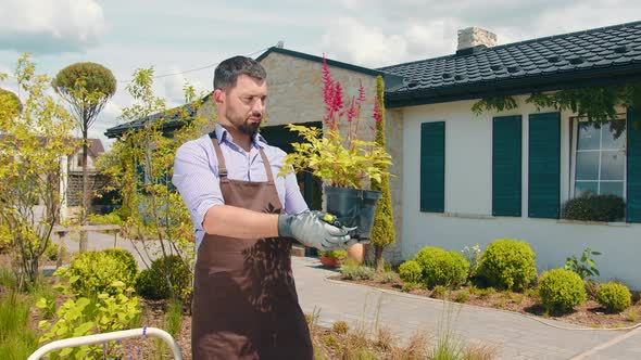 Florist Man Examines a Pot with a Plant