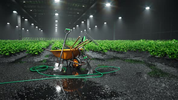 Garden tools gathered around a wheelbarrow in a big greenhouse with wet soil. 4K