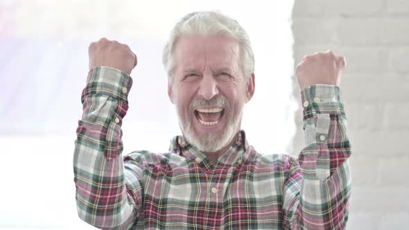 Portrait of Cheerful Casual Old Man Celebrating Success 