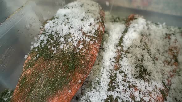 Rock salt hitting salmon fillet in slow motion - Processing traditional graved salmon delicacy