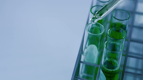 Scientist is preparation the green chemical solution in test tube in the laboratory experiment.