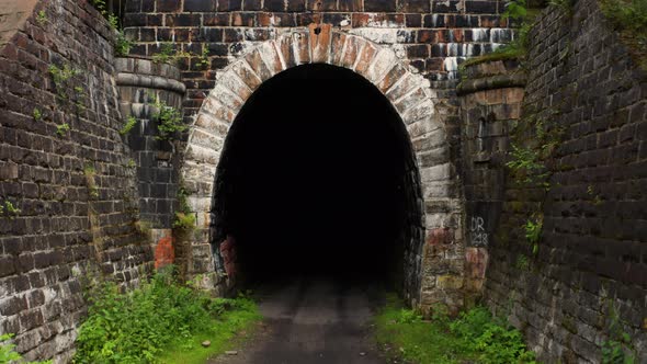 The Car Drives Into a Tunnel in the Forest