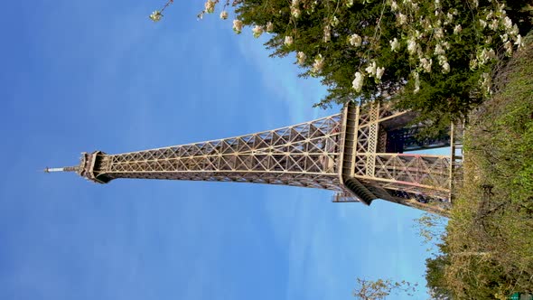 Eiffel Tower in Paris Spring