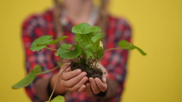 Closeup Pouring Water in Slow Motion on Green Plant in Teenage Caucasian Female Hands