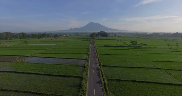 Aerial agriculture in rice fields and mountain view