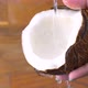water splashing into the half of coconut - VideoHive Item for Sale