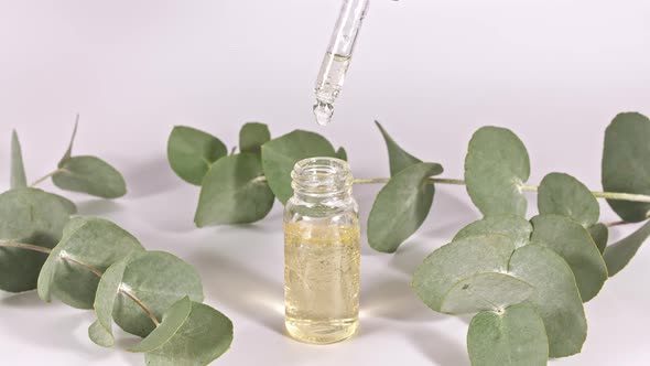 Pipette with Oil of Eucalyptus with Leaves on a White Background