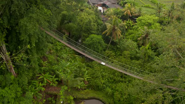 Aerial View of Hanging Bridge in the Jungle