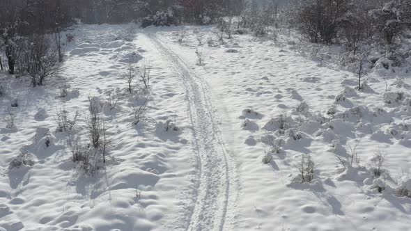 Snowed forest vegetation from above 4K aerial video