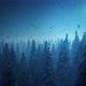 Snow storm in a forest looped 4K - VideoHive Item for Sale