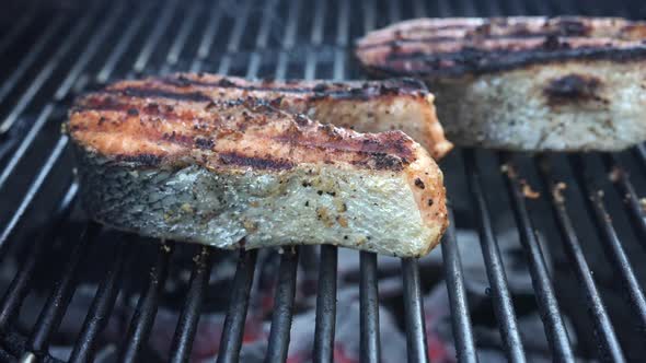 Grilling wild caught salmon steaks on the barbeque for a healthy entrée - isolated subtle parallax m