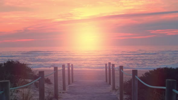 Beautiful Tropical Wooden Beach Way Summer Landscape