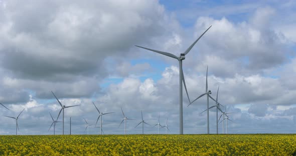 Field of rapeseed (Brassica napus)and wind turbines in the Region Beauce, northern France