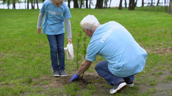 Girl Volunteer Watering Can Helping Grandfather Plant Tree