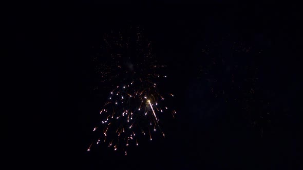 Colorful Firework display at night on sky background