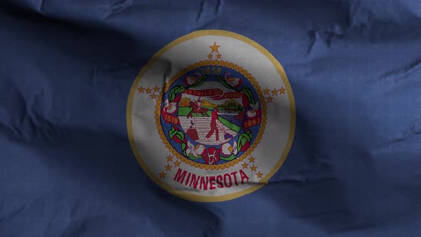 Minnesota State Flag 4K