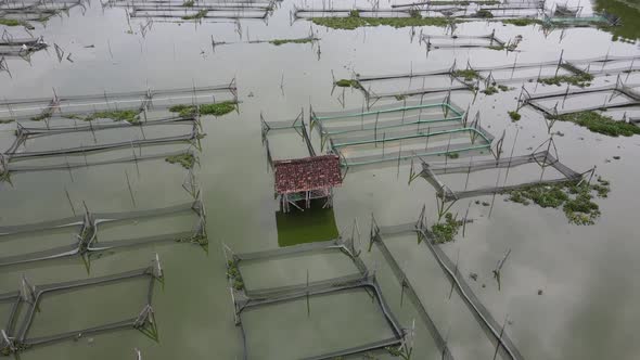 Aerial view of traditional floating fish pond on swamp in Indonesia
