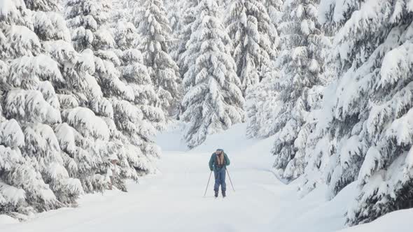 A Crosscountry Skier Skies Down a Trail in a Snowcovered Winter Landscape with Trees