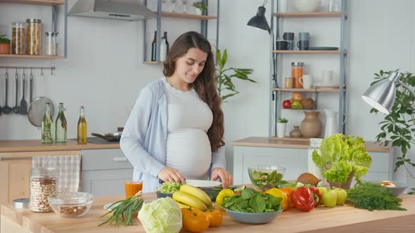 Beautiful Pregnant Woman Happily Preparing a Vegetable Salad The Concept Of Diet