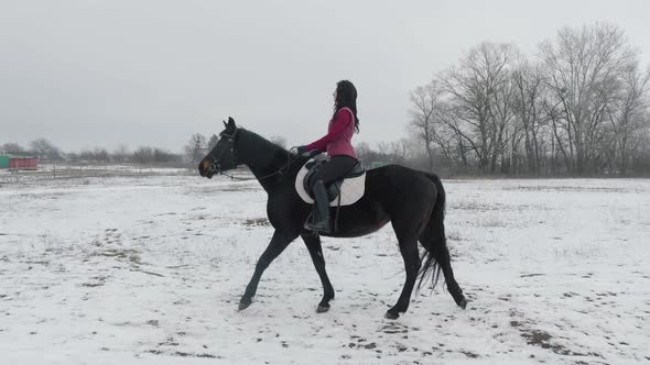Young Brunette Woman Rides a Beautiful Black Horse on a Field or Snowcovered Farm in Winter