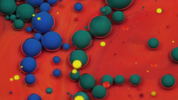 Multicolored Bubbles of Paint on the Oil Surface Paint in Oil