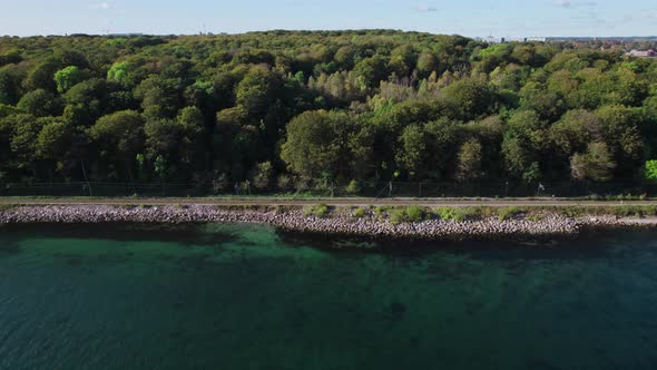 Drone Flight Over Sea By Lush Forest