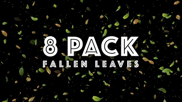 Fallen Leaves (Alpha)
