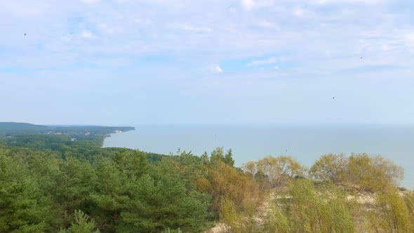 Panorama From the Observation Deck to the Forest the Sea Clouds