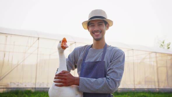 Happy Asian male farmer owner working in his own farm with happiness in the evening sunset.