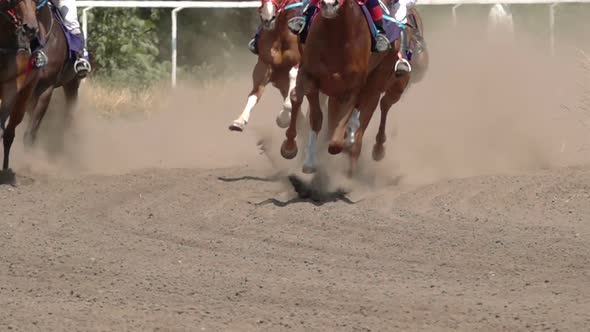 The Feet of the Horses at the Racetrack