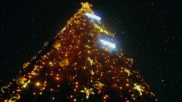 Bottom View of a Beautifully Decorated Christmas Tree As It Snows Outside