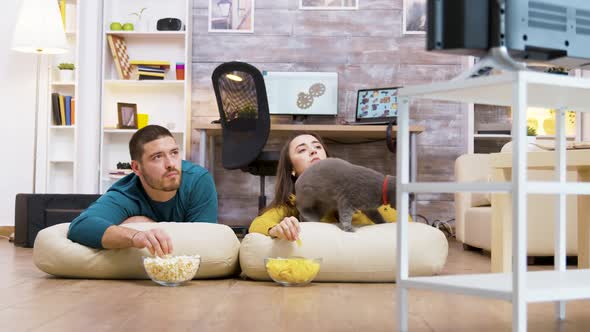 Young Couple Watching Tv with Their Cat