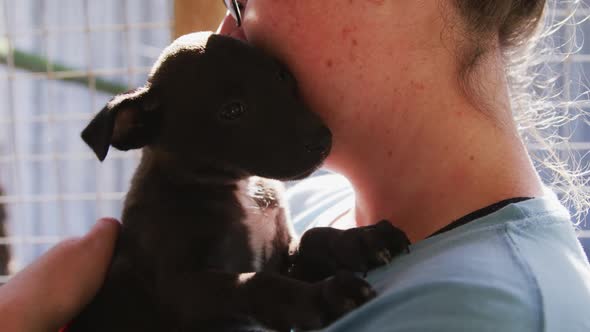 Dog in a shelter with volunteer