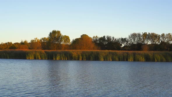 Golden wheat on the lake beautiful nature sunrise landscape with blue sky on the background