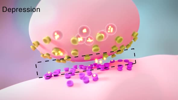 Neurotransmitters are chemical messengers in the body