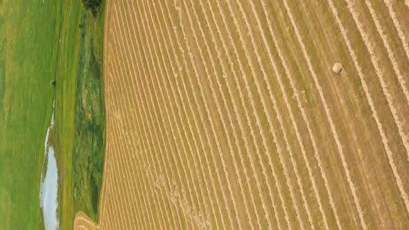 Vertical Vertical Shot Time Lapse Dronelapse Hyperlapse