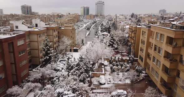 beautiful cityscape of Tehran in Iran. buildings with yard and pool have many of tree in yard covere