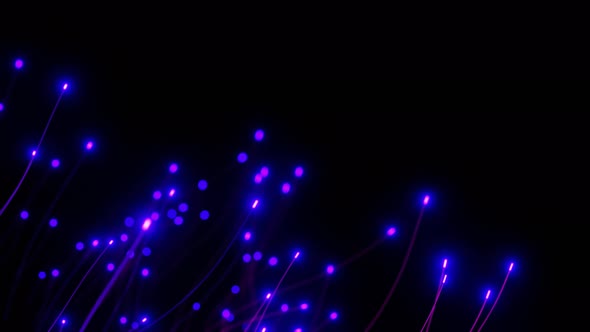 Abstract Blue Purple Particles Simulation