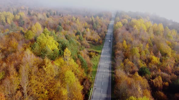 Autumn colors and mountain road aerial view