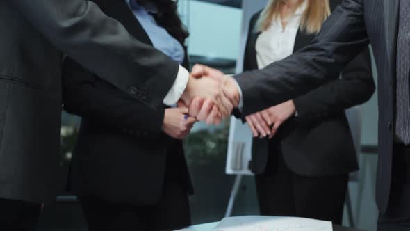 Business Partners Shaking Hands After Making Deal