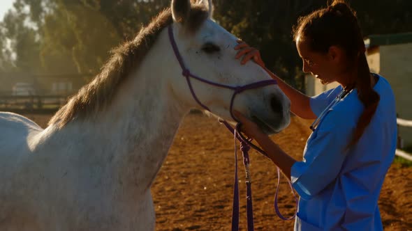 Veterinarian doctor standing with horse 4k