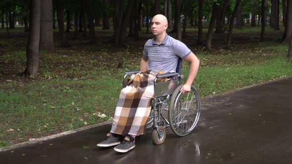 A Young Man with Oncology Rides a Wheelchair Through the Park. The Man Is Bald Due To Chemotherapy.