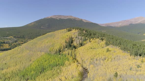 Fall foliage at Boreas Pass, CO