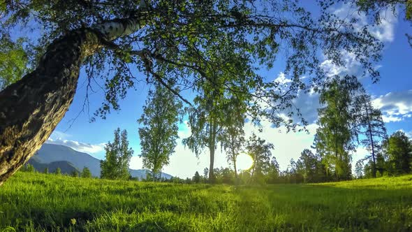 Mountain Meadow Timelapse at the Summer or Autumn Time