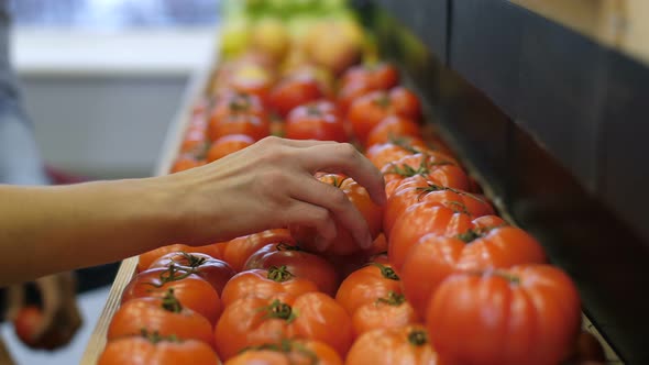 Human Hands Placing Ripe Tomato on Food Shelves