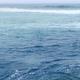 The Ocean - VideoHive Item for Sale