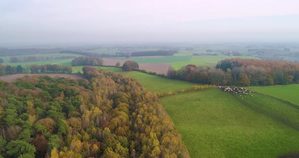 Aerial view of mixed forest in autumn colours and hilly landscape, Berg en Dal, Netherlands.