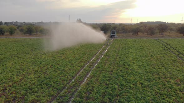 Aerial View of an Agricultural Sprinkler in a Potato Field. Agribusiness